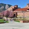 campus community members walking outside of the UMC on a spring day
