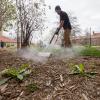 Facilities Management staff members treats weeds with steam on campus