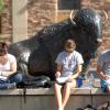 Students studying in front of a buffalo statue