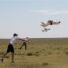 Drones at Pawnee National Grassland