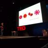A person gives a TED talk
