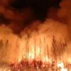 Wildfire