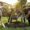Young people planting trees