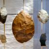 Unearthed: Ancient Life in the Boulder Valley exhibit at Museum of Natural History