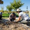 Students volunteering on Milk and Honey Farm