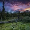 Niwot Ridge