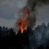 wildfire in Colorado