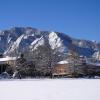 Trees at Farrand Field on Main Campus