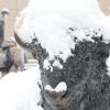 Snow settles on a statue of a Buffalo