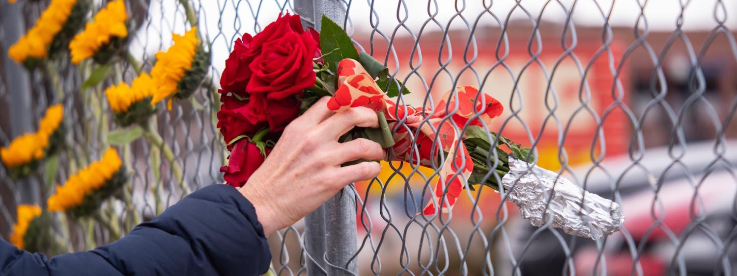 Person rests a bouquet of roses in a chainlink fence