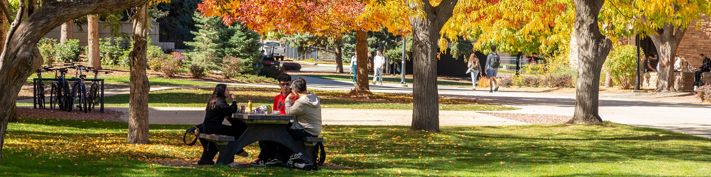 students on campus in fall