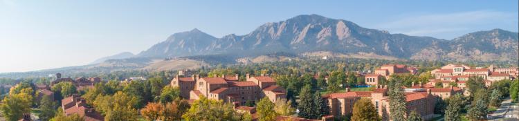 Admissions