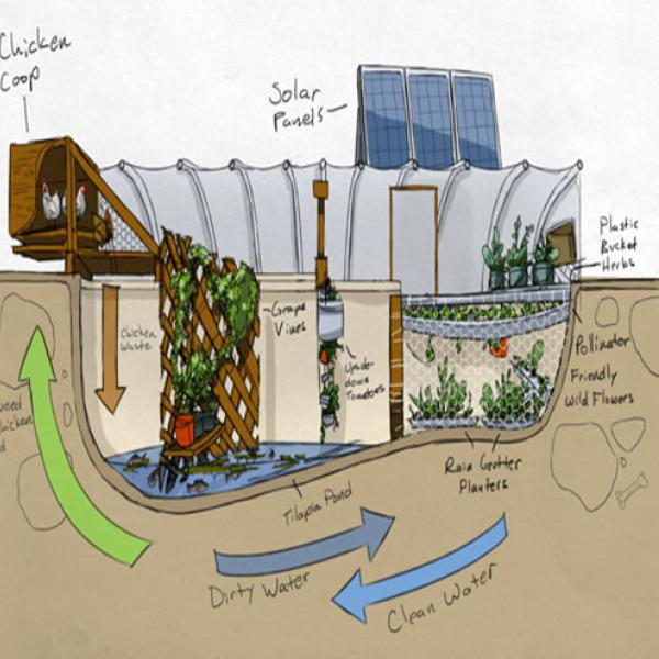 greenhouse