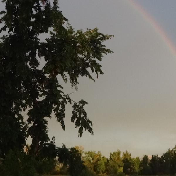 rainbow