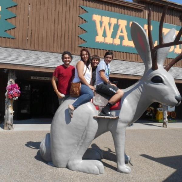 Jackelope