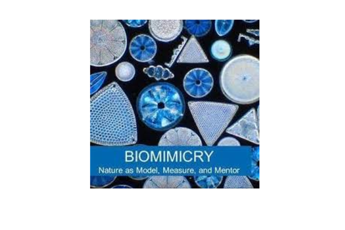 biomimicry logo
