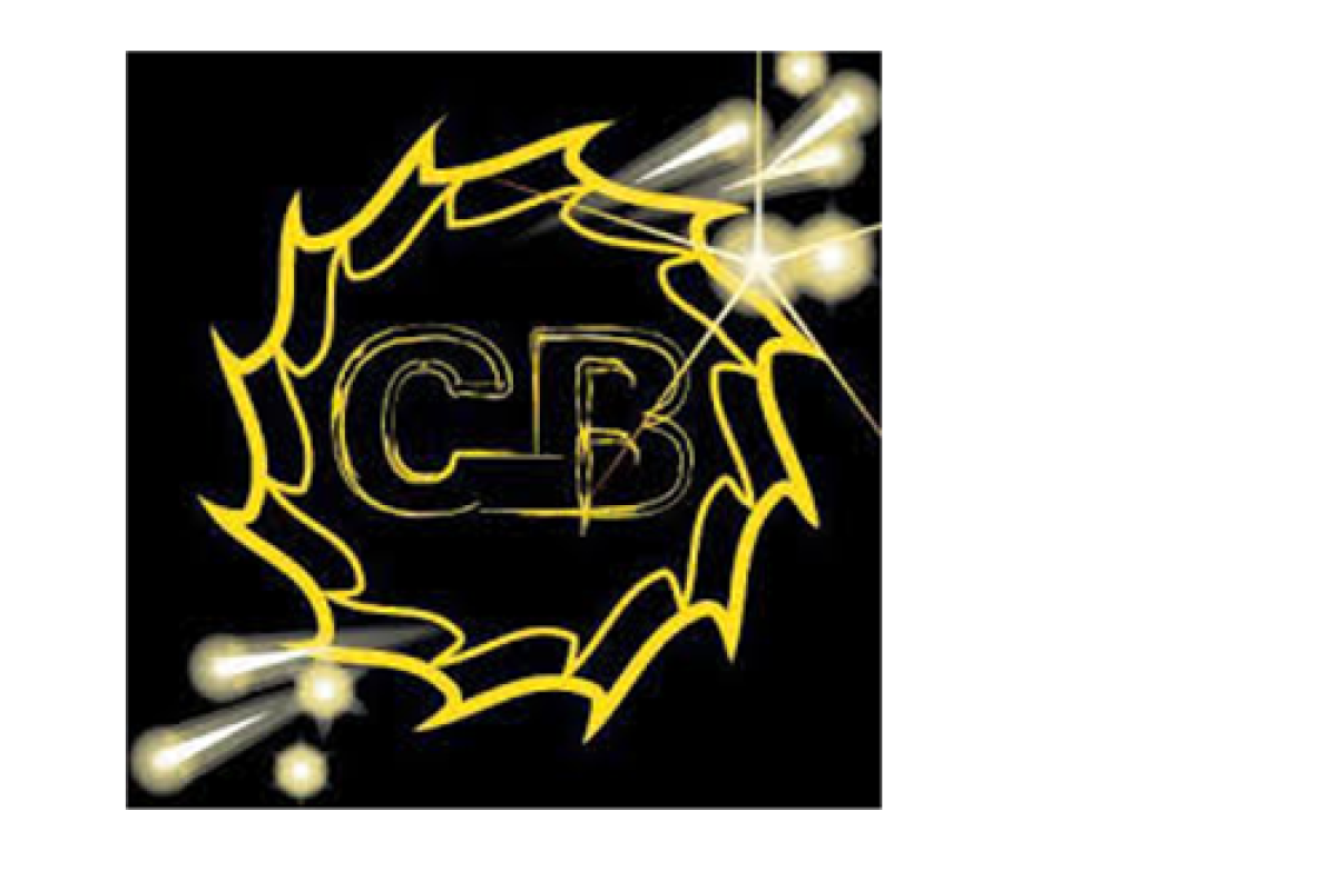 combat bots logo