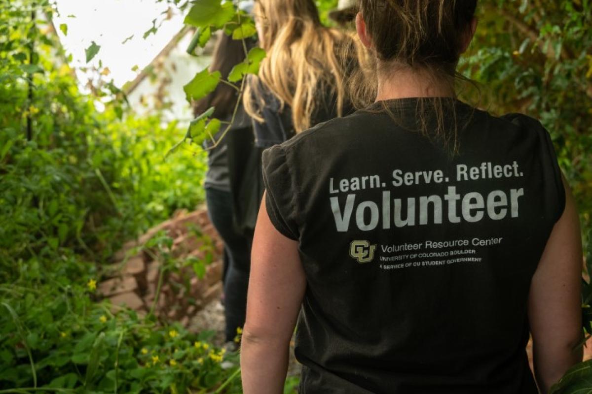 Volunteers