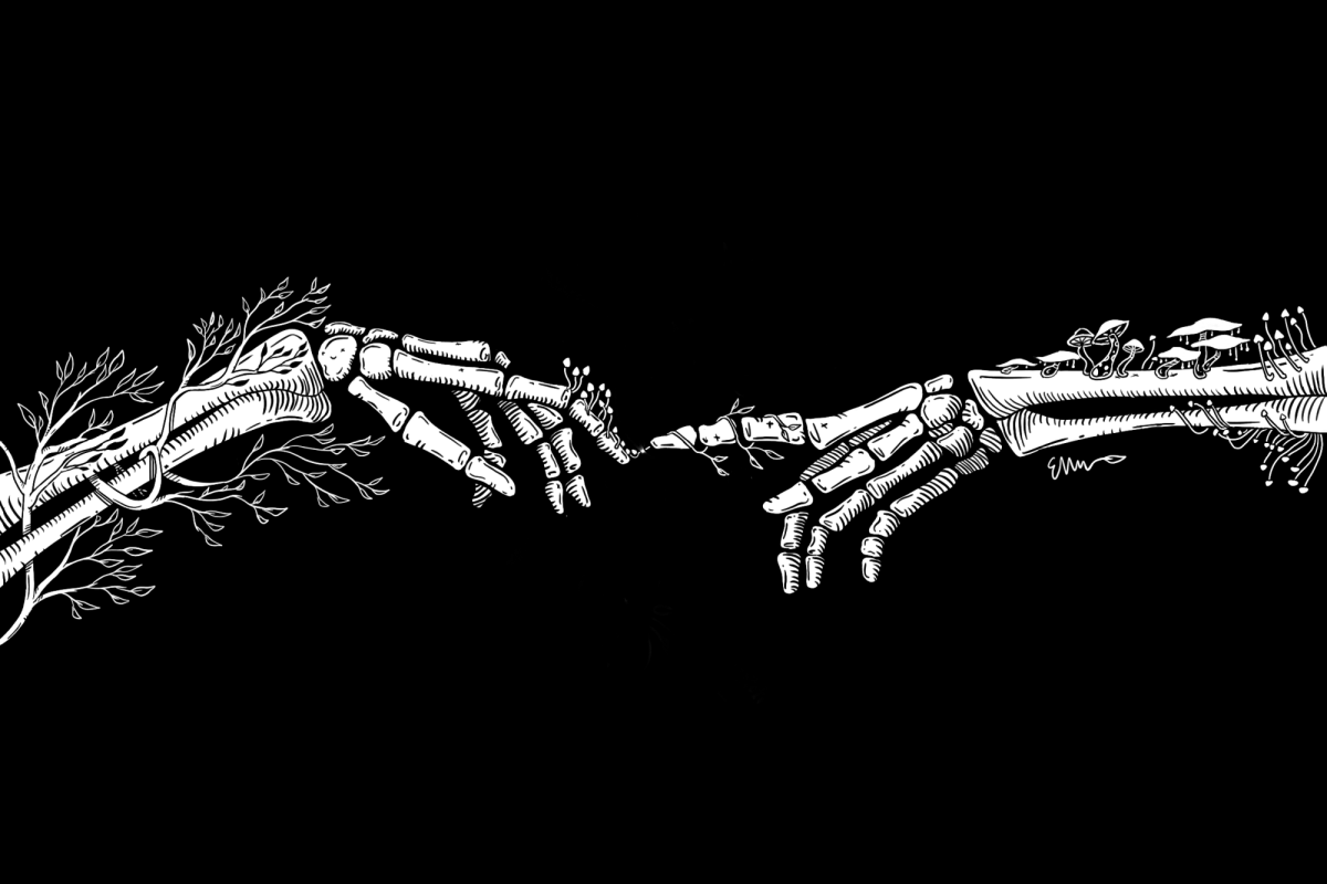 An illustration of two skeletal arms and hands touching fingers against a black background