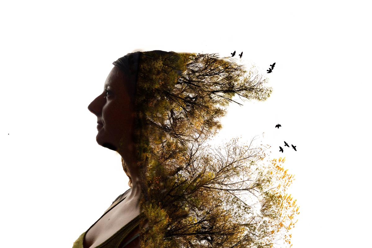 An abstract photo of a woman with trees growing from the back of her head