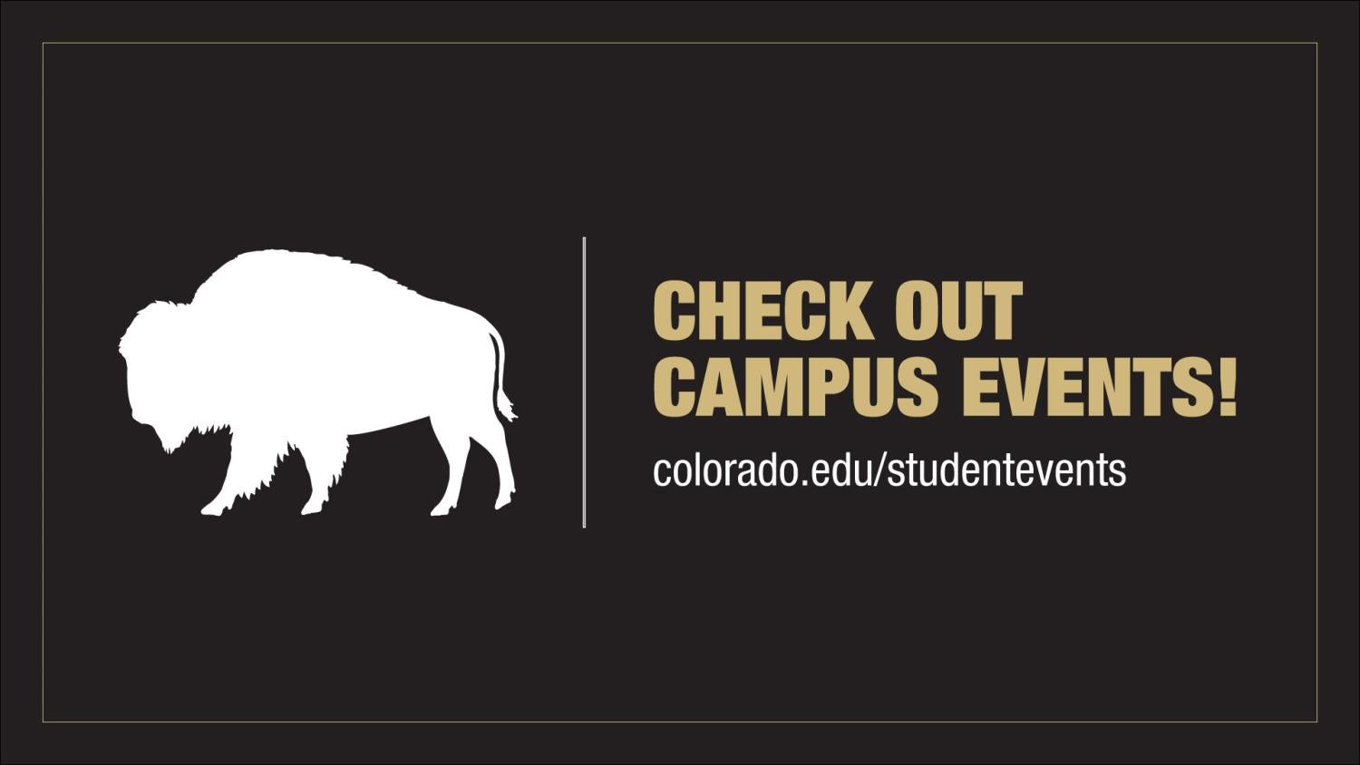 an illustration of a buffalo