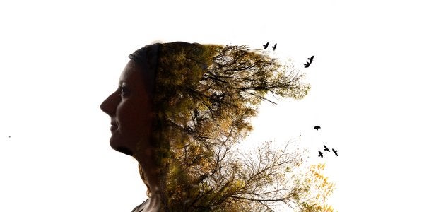 An abstract photo of a woman with trees growing from the back of her head