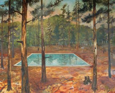 "Swimming Pool in the Woods (Roosevelt N.F." by John Defeo