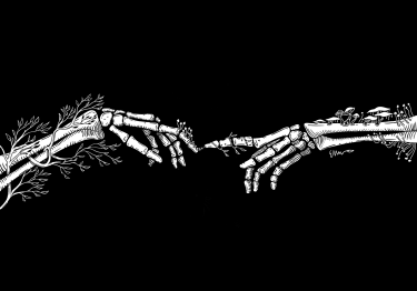 An illustration of two skeletal arms and hands touching fingers against a black background