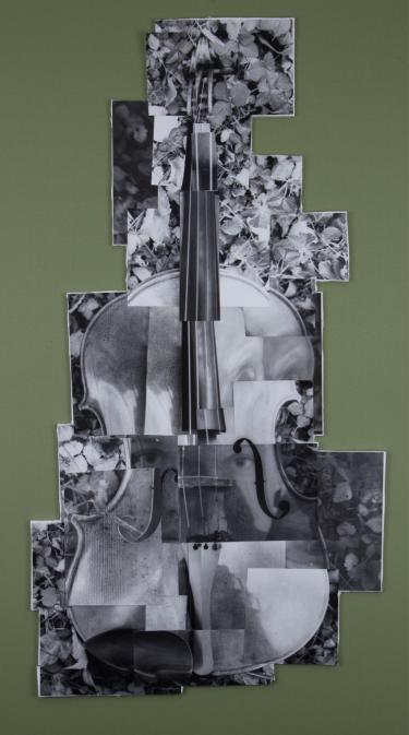 A photo collage of a viola in black-and-white