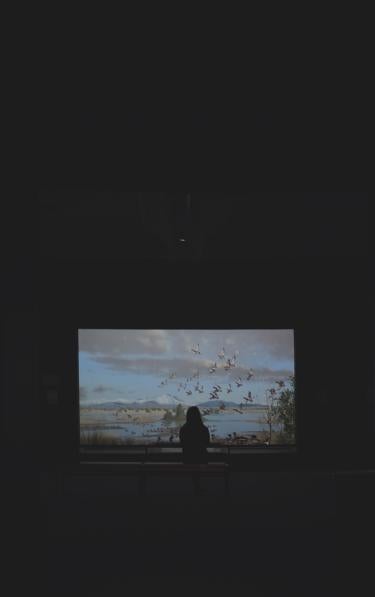 A photo of a woman looking at a diorama with birds