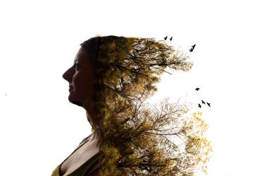 An abstract photo of a woman with trees growing from the back of her head