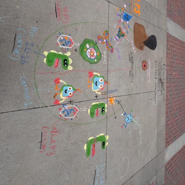 Student creating chalk art