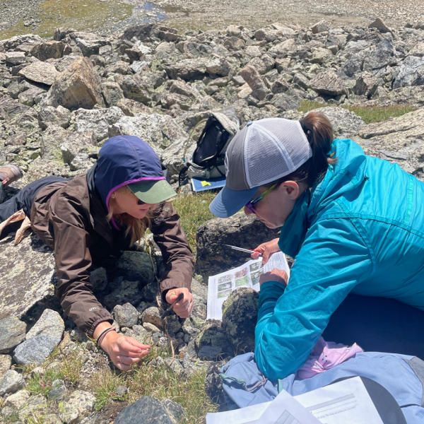 Student looking at a flower on the ground while a mentor helps them identify it