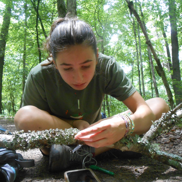 Closeup of student looking at a moss-covered branch on the forest floor