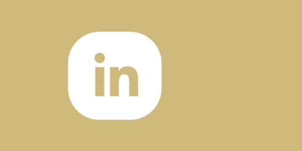 Icon LinkedIn