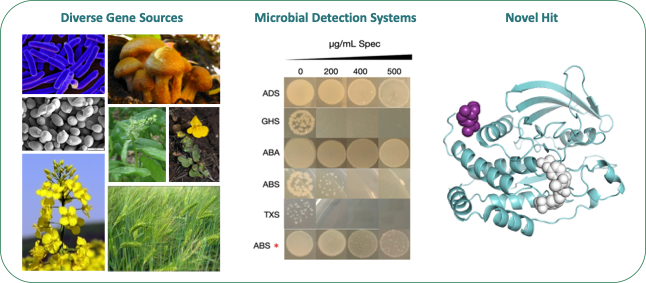 Think Bioscience diagram