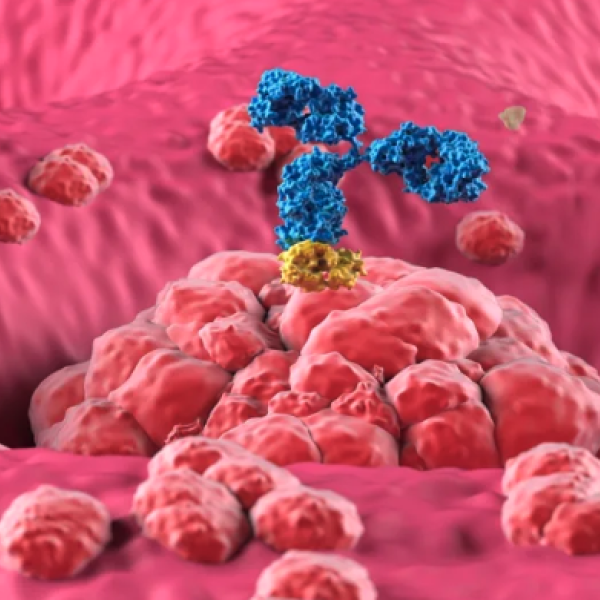 Illustration of microscopic cells