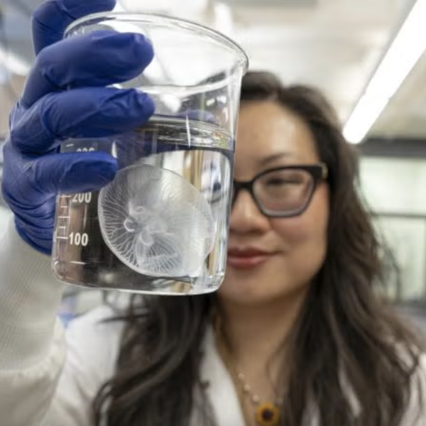 A woman in a lab holds up a beaker with a jelly fish inside it