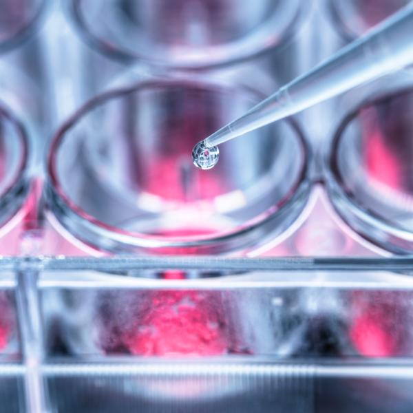 Close up on a pipette and drop of liquid falling into a vial