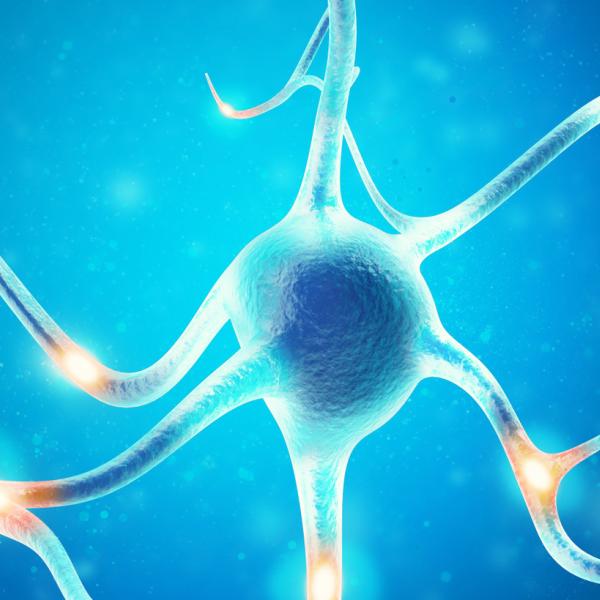 Illustration of a nerve cell