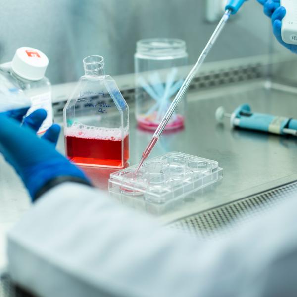 Close up of a researcher using a pipette