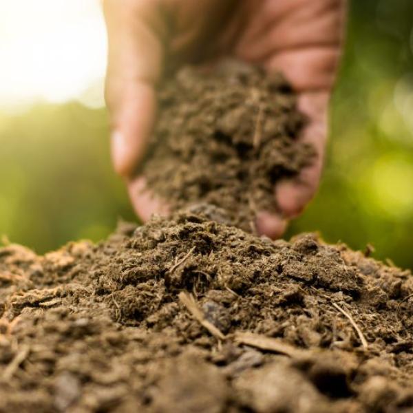 A hand picks up rich organic soil
