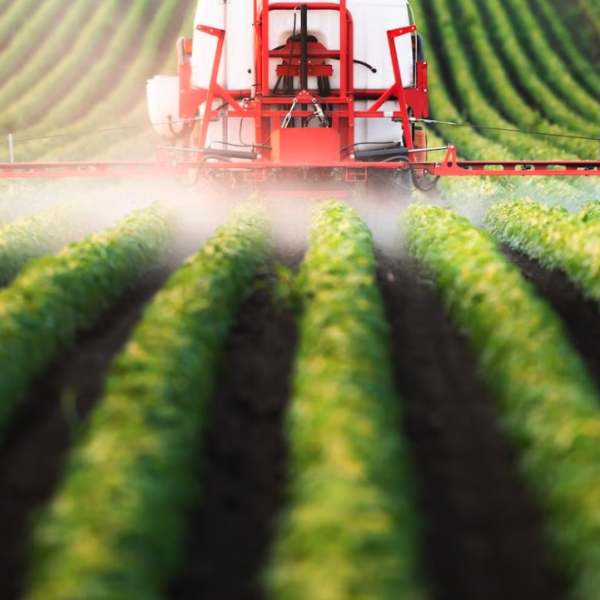 Close-up image of granular fertilizer spread on soil, showing individual orange-yellow granules and the textured surface of the ground beneath.