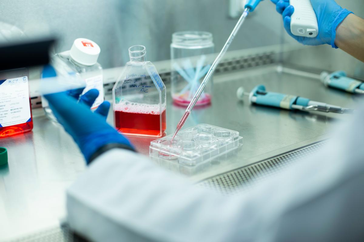 Someone in a lab coat and blue gloves puts red liquid into vials using a pipette.