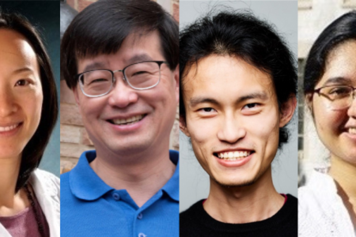 Professional headshots of two women and two men