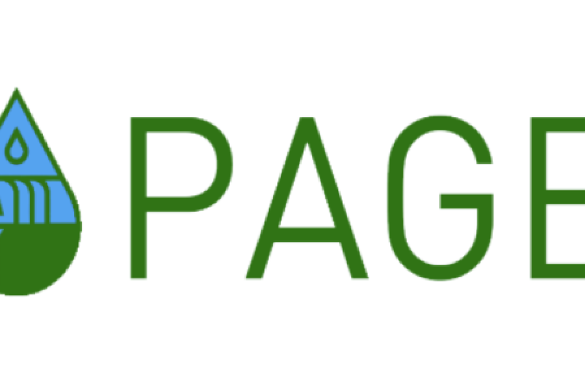 Page Technologies