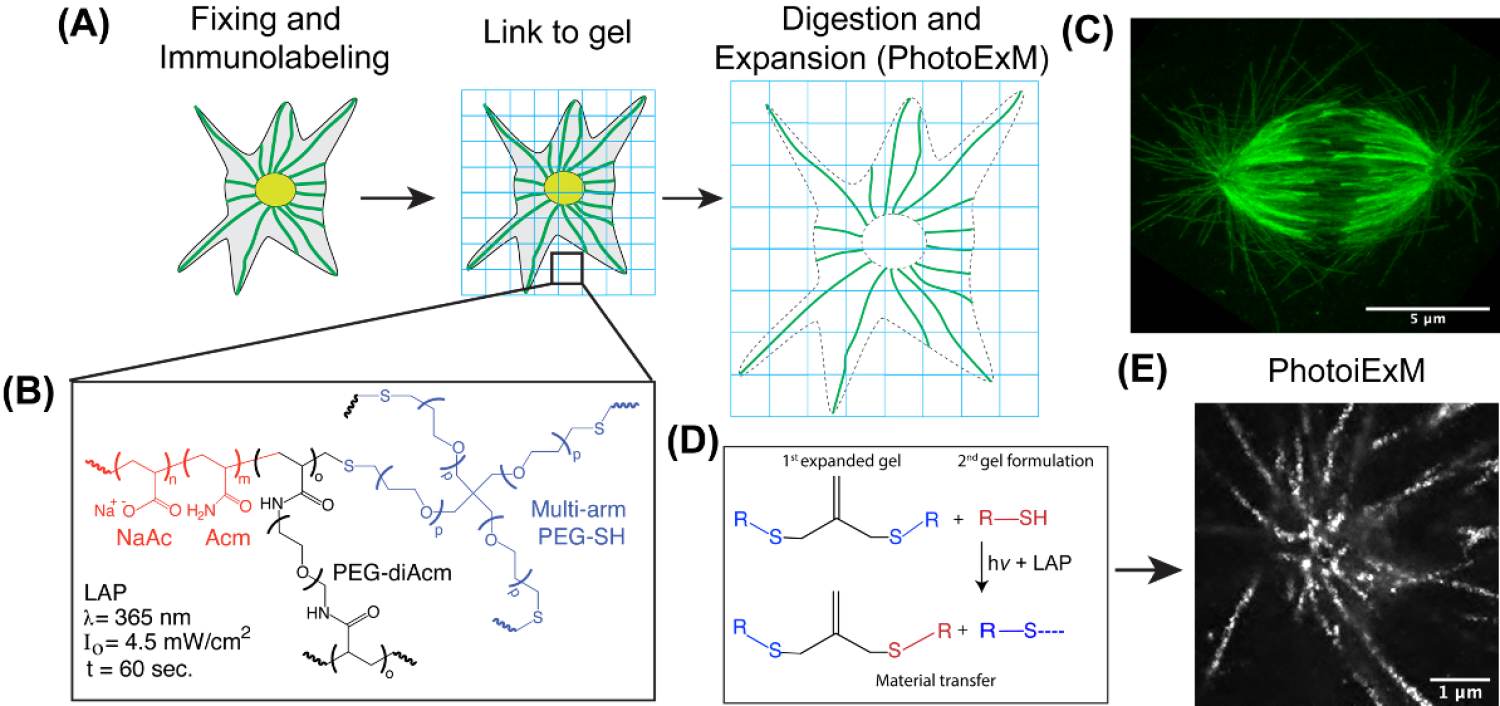 hydrogel figure