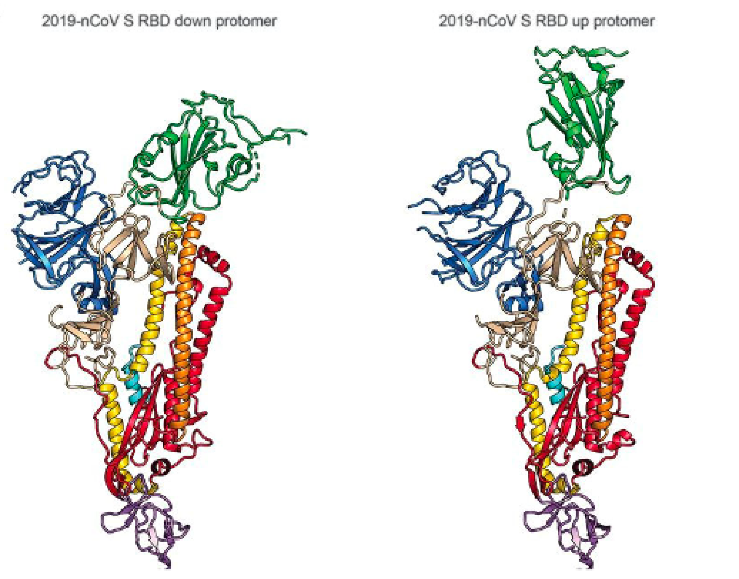 SARS-COV-2 FIGURE