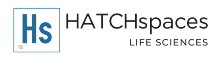 Hatch Spaces