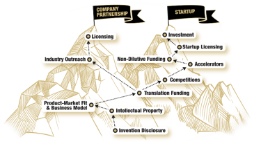 Illustration of a mountain as a metaphor where researchers can climb one of two paths with their discovery of either starting a company or licensing their protected intellectual property